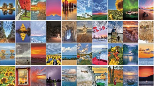 20 YEARS OF BACK PAGES