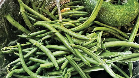 Harvest time in Leelanau means fresh produce. These beans and cucumbers were included in an All-Leelanau menu. Enterprise photo by Amy Hubbell