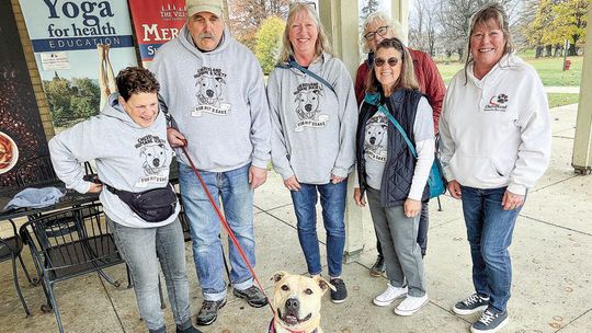Animal Shelters look to find forever homes for animals this season