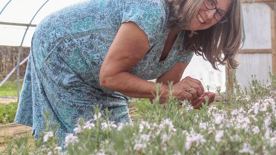 Patty Travioli grows farm cultivated culinary and medicinal herbs at Heartwood Forest Farm in Solon Township. Enterprise photo by Brian Freiberger