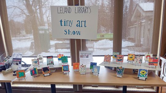 As Leland Township Library