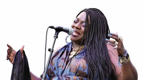 Backyard Blues, Brews & BBQ Debuts August 7-8