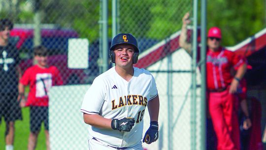 Baseball honors released