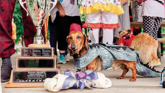 ‘Bone Appetit’ Northport Dog Parade Saturday