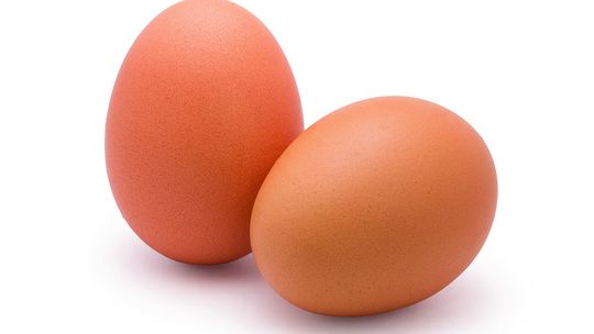 Cage-free eggs are now the way