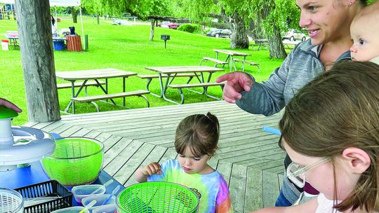 Cheap options to keep the kids busy
