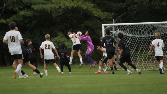 Comets down Lakers