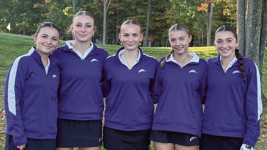 Comets nearly make it to states