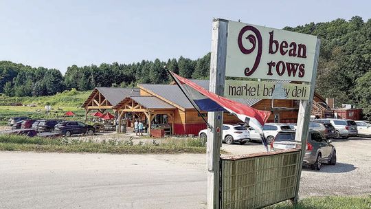 CSA’s deliver fresh foods year-round