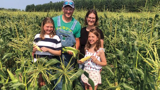 Curtis and Melissa Kelenske get help from their daughters, Sasha, 11, and Sienna, 7, picking sweet corn from their family farm in Centerville Township. See story Pg. 8 Enterprise photo by Alan Campbell