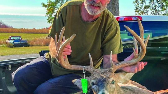 David Stachnik shot this 14-point buck with a bow at 8:30 a.m. Sunday. Courtesy photo