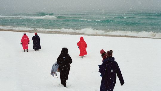Dippers get mindful in cold water