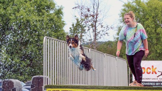 Dogs show off their stuff at Polka Fest