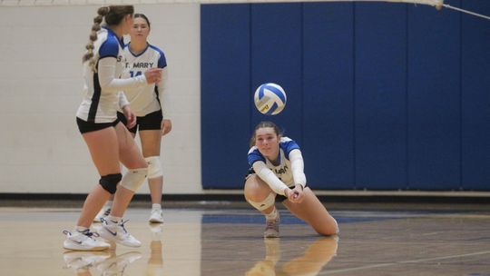 Eagles defeat Bulldogs