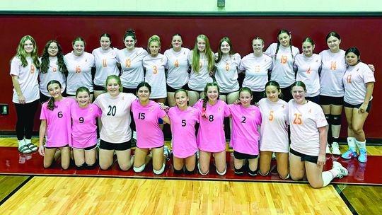 Eagles fall to Sabres