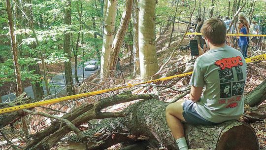Crowds estimated between 1,000 and 1,300 took to the woods for the best view of the Empire Hill Climb Saturday. Enterprise photo by Brian Frieberger