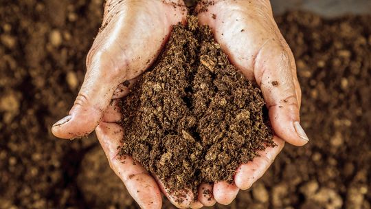 Fall is a good time to test soil
