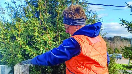 Family, food, football and fun