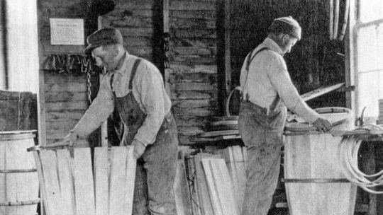 First apples planted in the mid-1800s