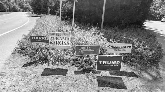 SIGN OF THE TIMES Candidates for local, state and national office have signs placed throughout the county— some where they’re not allowed. Photo courtesy of Leelanau County Road Commission
