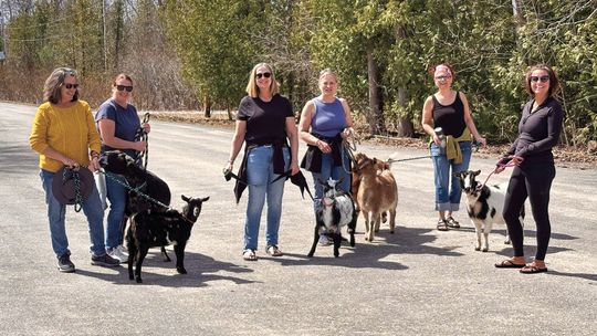 Friends Linda, Heather, Cindy, Chris, Terra, and Kelly