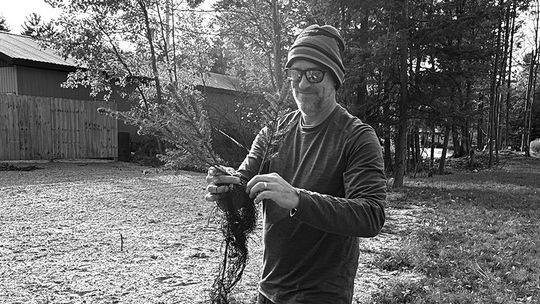 G-A Beautification puts down roots