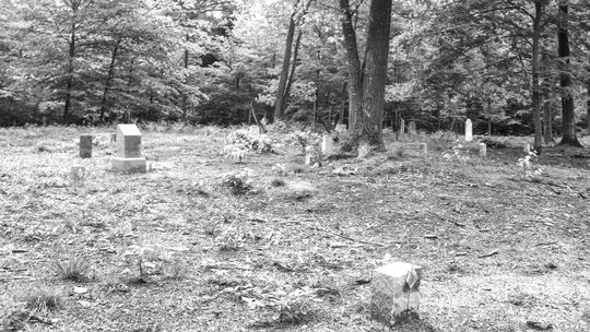 New headstones mark previously abandoned graves at the Glen Arbor historic Cemetery. Enterprise photo by Brian Freiberger