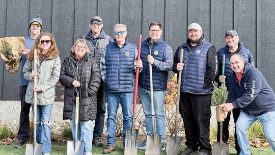 Glen Arbor earns Tree City USA designation