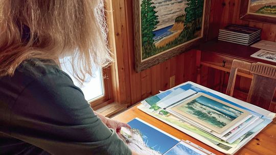 Grace Dickinson Johnson - A family Album of Leelanau