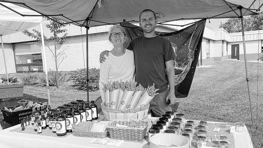 Growing a lavender farm from the ground up