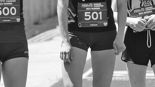 Growing numbers boost Comets track