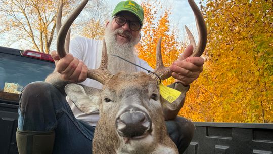 Harig tags dream buck