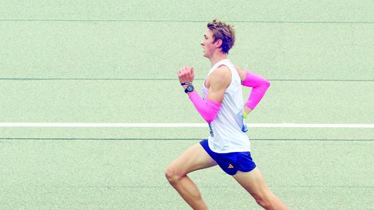 Harriers compete at states