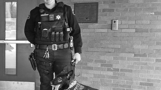 K-9 sold: no available handler