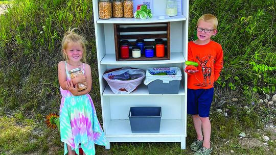 Kacey and Wyatt Novak, ages 4 and 6 respectively, have their produce stand on Newman Road, a few hundred feet from M-72. They are the children of Austin and Marie Novak. Courtesy photo