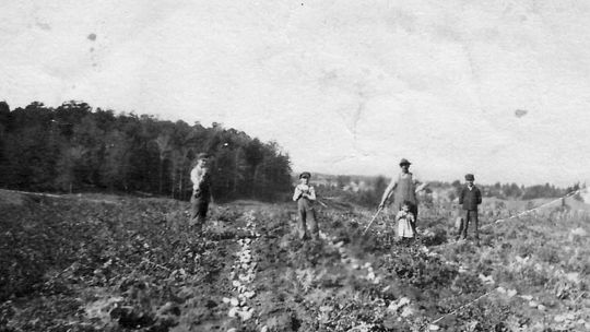 Kids got time off for ‘potato vacation’