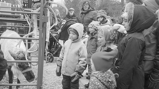 Kids met with Santa’s reindeer at Around the Corner Food and Fun