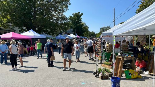 Lake Leelanau Street Fair Saturday