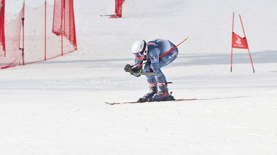 Lakers compete at states; win LMSC