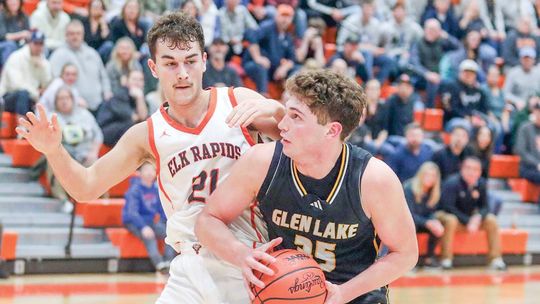 Lakers, Eagles fall in district finals