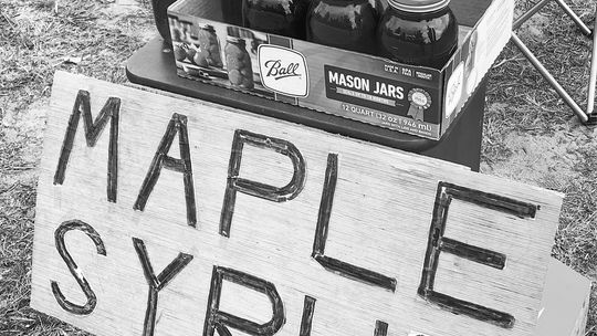 Late syrup just as delicious as early