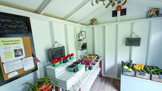 Leelanau fresh farm stand built on 28 years of cherries