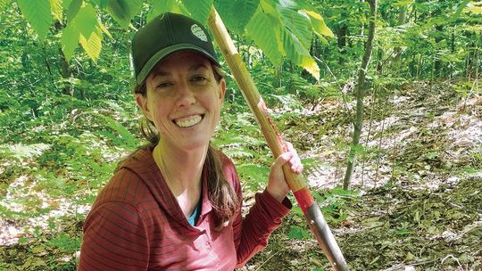 Leelanau’s Old Growth Forests: Living History