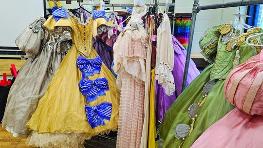 Leland School to perform “Disney’s The Little Mermaid”