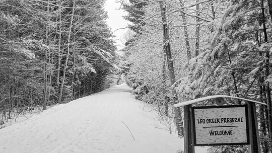LEO CREEK PRESERVE WELCOME