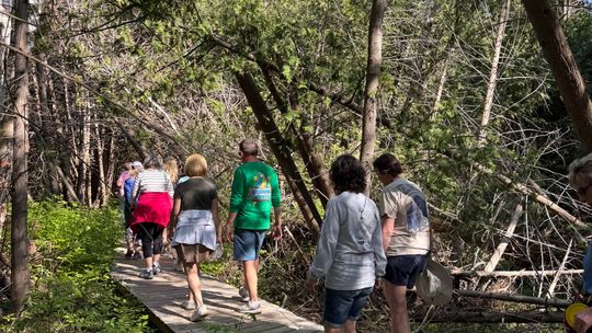 Let’s Walk Suttons Bay: explore the village on foot