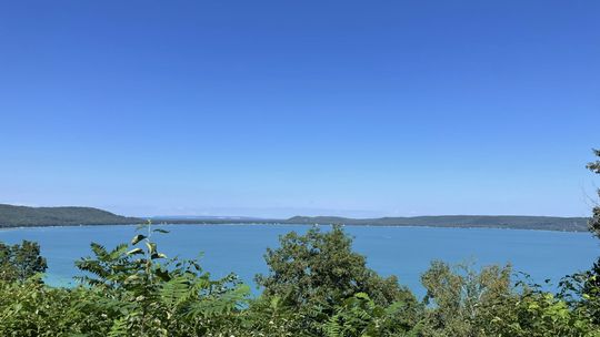 Living filters along lake shorelines