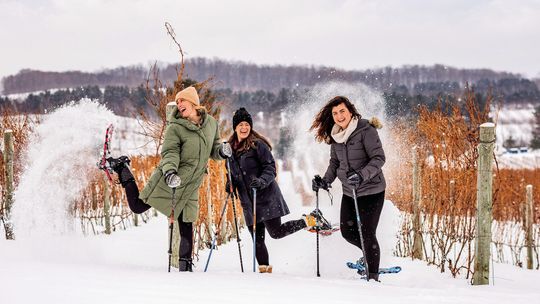 Local wineries thinking snow