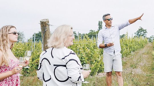 May is Michigan Wine Month
