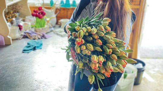 Michelle Shackelford, owner of Leelanau Specialty Cut Flowers in Cedar, is ramping up for a busy spring, summer, and fall as she begins to harvest flowers from early May until Christmas. Enterprise photo by Brian Freiberger